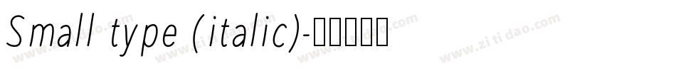 Small type (italic)字体转换